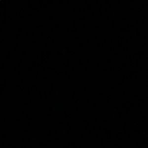 Meet your Posher, Bri